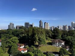 Balmoral 8 (D10), Condominium #480461271
